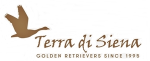 Terra di Siena English version