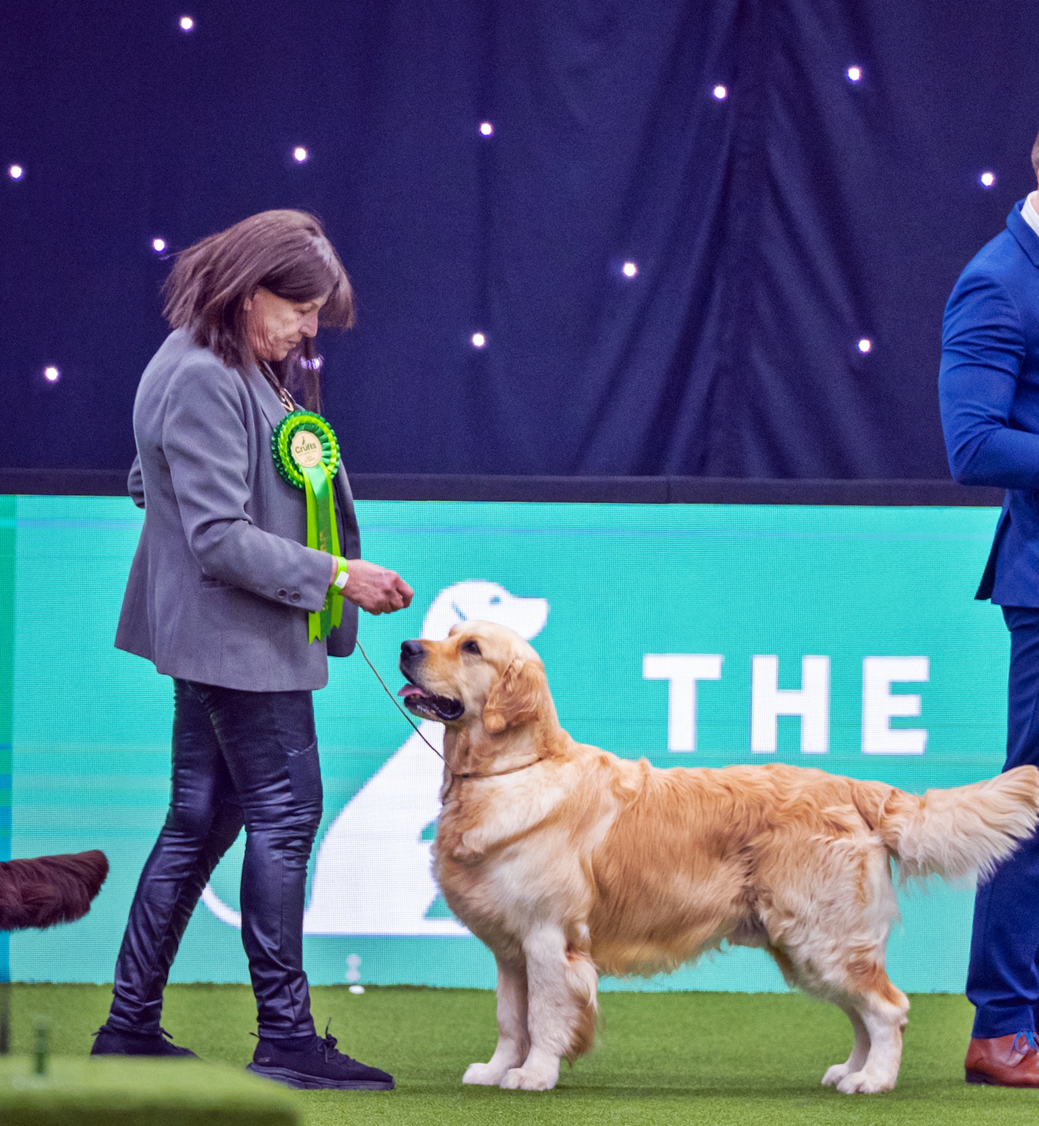 WE MADE IT AGAIN !! DREAMER BEST OF BREED CRUFTS 2025.
