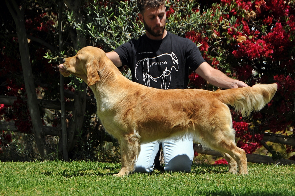 TERRA DI SIENA BERONIA RESERVA.(“FREJYA”)