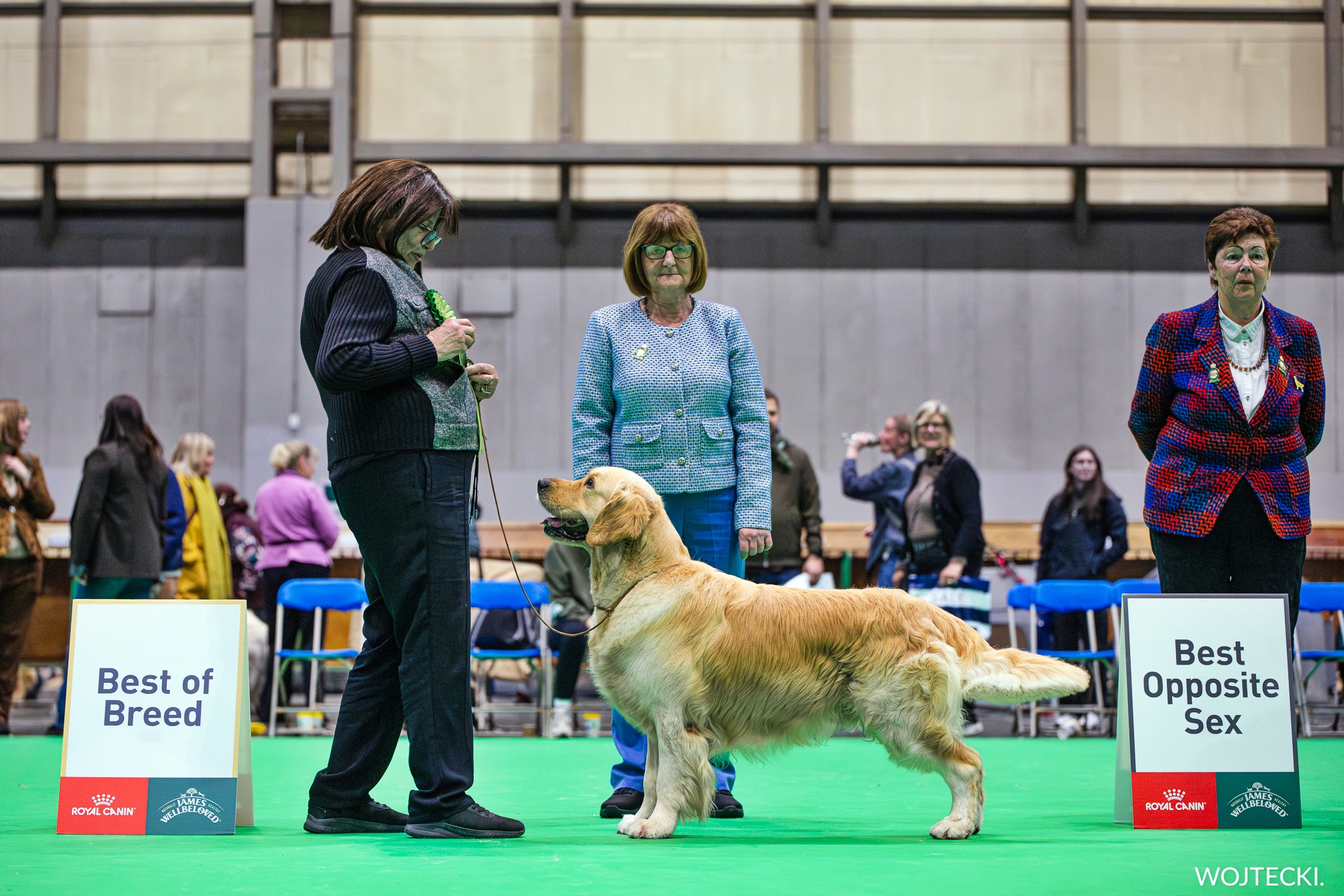 CRUFTS 2026. BOB . WE MADE IT AGAIN !!!