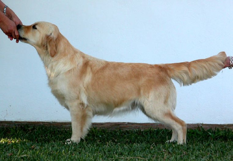 Full Moon de Terra di Siena (Tina)