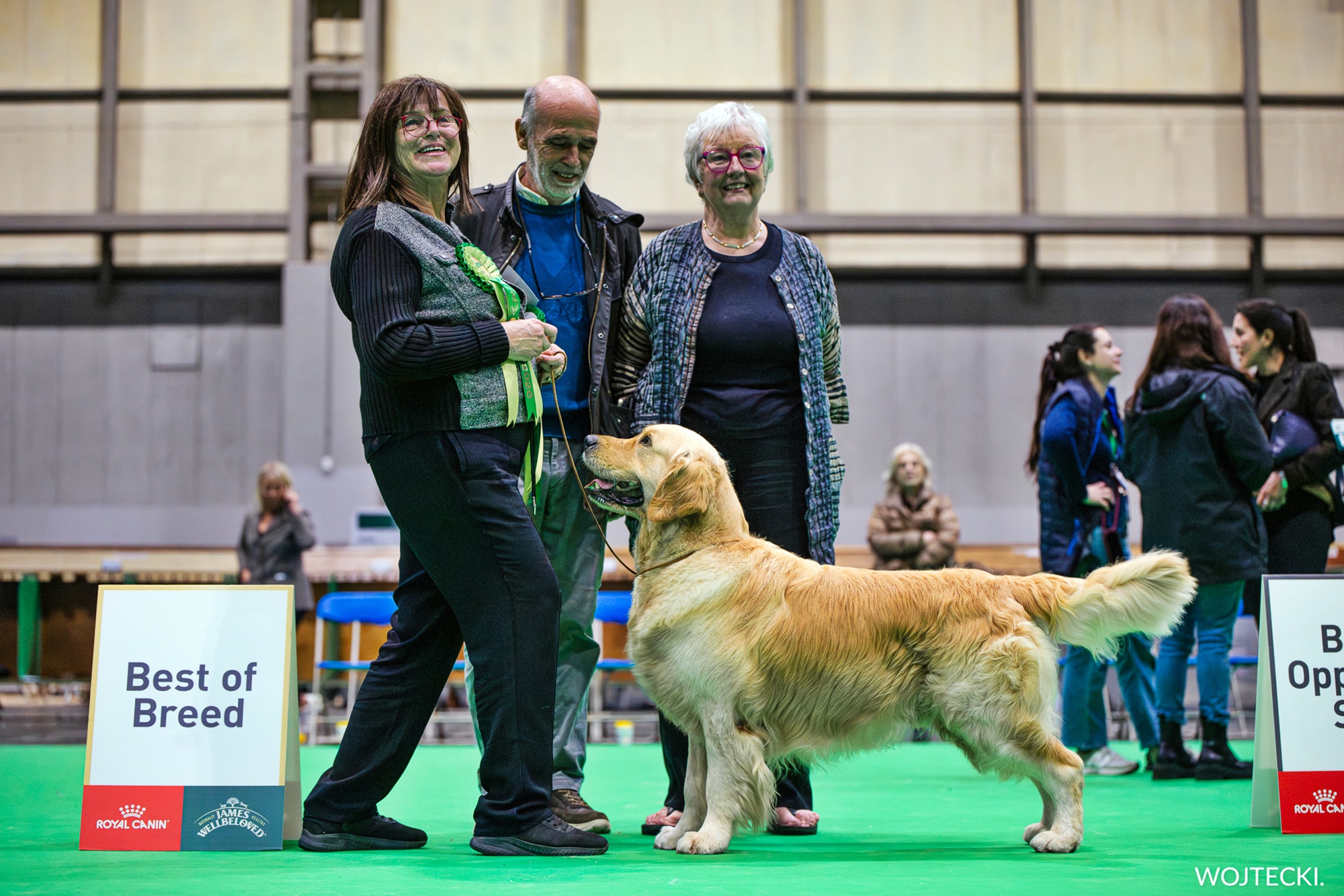 MEJOR DE RAZA.CRUFTS 2025.
